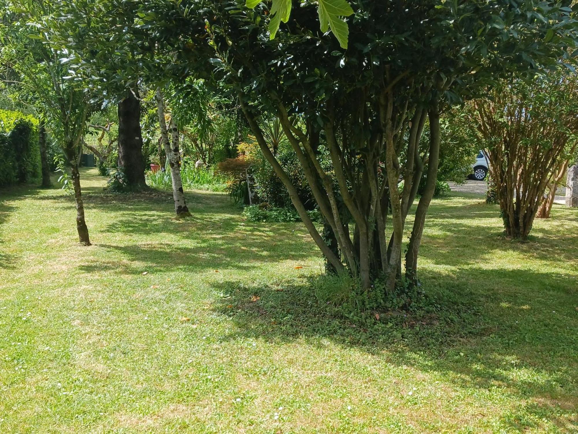 La Demeure D'Ezilda Villa Fléac-sur-Seugne Dış mekan fotoğraf